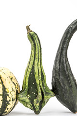 Herbstblätter und Kürbisse