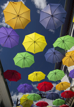Display of Umbrellas