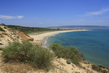 Obraz premium Trafalgar, Barabate, Caños de Meca. Rocas en el mar, Cádiz, Vista de playa con mar azul intenso, arena clara, hierba, arbustos y campo, cielo azul y despejado , Cádiz, flores en Primavera 