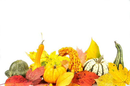 Herbstblätter und Kürbisse