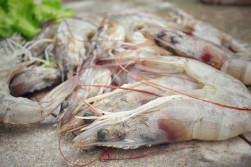Fresh shrimp
