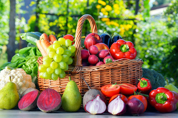 Fototapeta premium Fresh organic vegetables and fruits in the garden