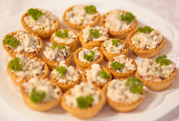 many tartlets with meat salad under mayonnaise and parsley on bu