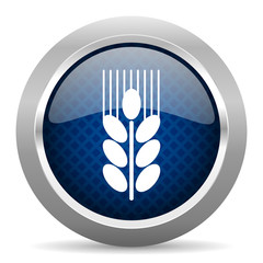 grain blue circle glossy web icon on white background, round button for internet and mobile app