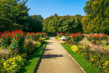 road in the beautiful garden