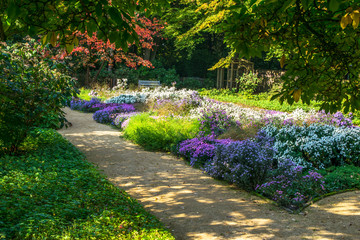 road in the beautiful garden