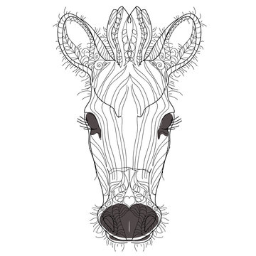 Sketch, doodle, hand drawn illustration of zebra.