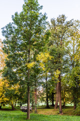 Naklejka premium Am Doberaner Münster