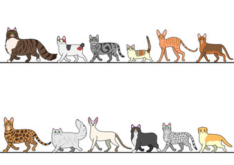 set of various cats walking in line
