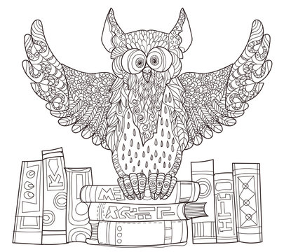 Owl  on books.