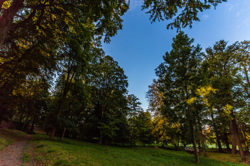 Park in Bad Doberan