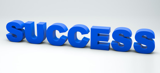 Success word on white isolated background