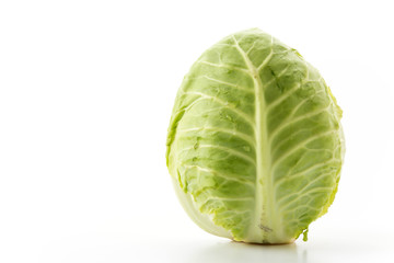 Fresh cabbage