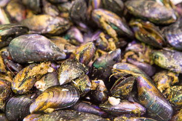 Fresh mussels on fish farmer market ready for sale