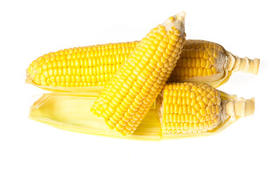 Ear of Corn isolated on a white background