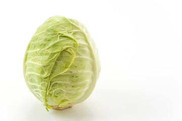 Fototapeta premium Fresh cabbage