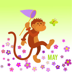 Funny monkey preys on butterfly