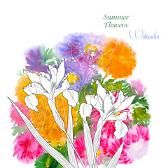 Background  with summer flowers and watercolors-03