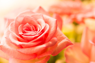 フラワーアレンジメント