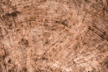 Baum Textur Hintergrund