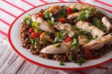 breakfast of brown lentils with grilled chicken and herbs close up 
