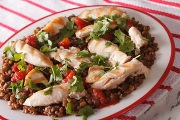 Healthy brown lentils with grilled chicken and herbs. horizontal

