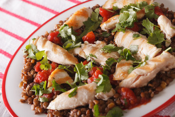 Lentil salad with grilled chicken and herbs close up. horizontal
