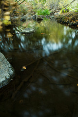 Obraz premium view of the water