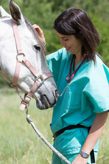 Veterinary on a farm