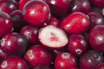background of red fresh raw cranberry fruits  macro