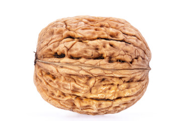 single walnut isolated on white background