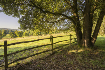 Fototapeta premium Beautiful sunlight English countryside landscape in Autumn