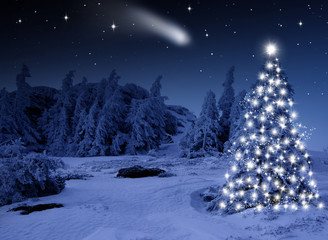 Hell Erleuchteter Christbaum im Wald