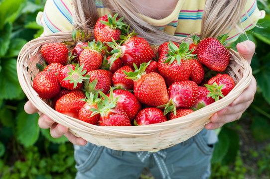 Kind hält Korb mit Erdbeeren