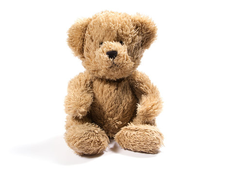 Plush teddy bear