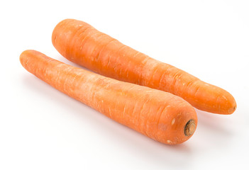 carrot