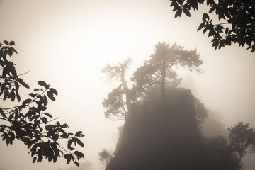 landscape of fog mountains of china