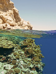 Obraz premium reef above and below the water