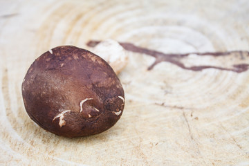 Obraz na płótnie Canvas shiitake mushroom on a wooden cutting board