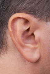 Closeup of a perfect human ear
