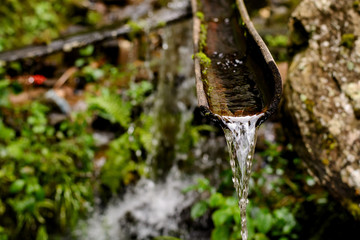 Water from bamboo pipe