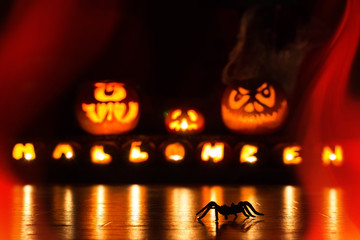 Halloween Spinne