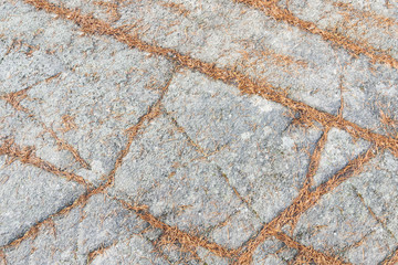 Autumn background of pine tree needles on a rock surface
