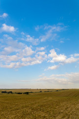 Obraz premium Brown field under white clouds