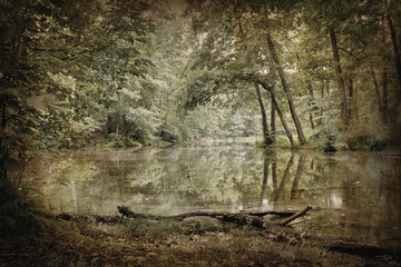 the image of the forest lake in vintage processing