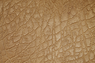 background with beige textured leather surface closeup © tillottama