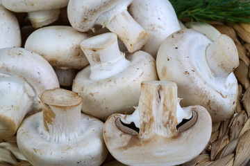 Champignons