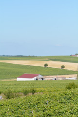Red barn on vineyard in French countryside 