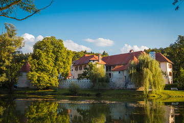 Fototapeta premium Grad Otocec, castle in the middle of the river Krka.
