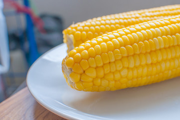 Boiled corn on white bowl